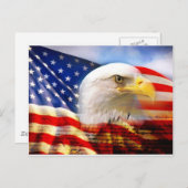 Amerikaanse Vlag Kaal Eagle Briefkaart (Voorkant / Achterkant)