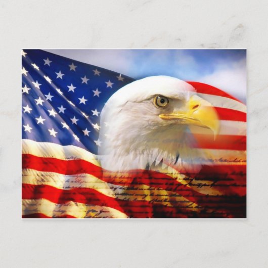 Amerikaanse Vlag Kaal Eagle Briefkaart (Voorkant)