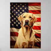 Amerikaanse vlag Labrador Poster (Voorkant)