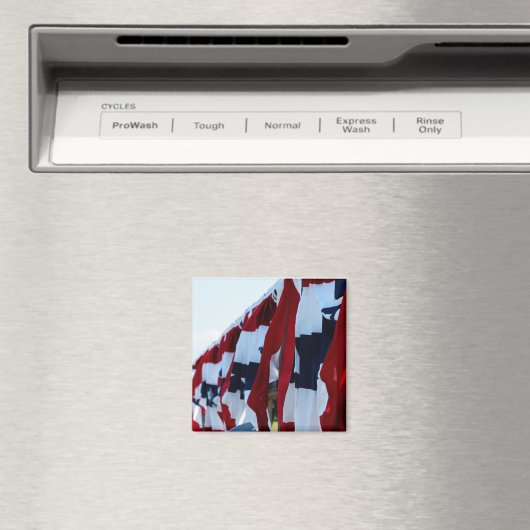 Amerikaanse vlag magneet (Insitu (Vaatwasser))