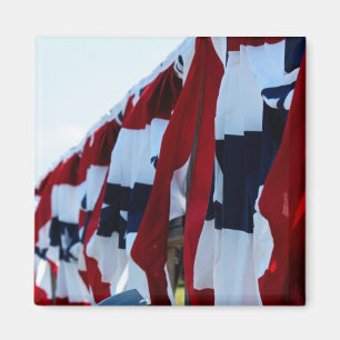 Amerikaanse vlag magneet