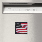 Amerikaanse vlag magneet (Insitu (Vaatwasser))