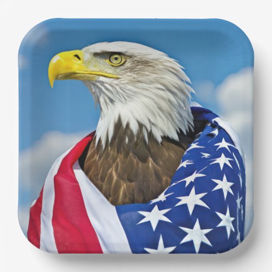 Amerikaanse vlag met Bald Eagle Papieren Bordje (Voorkant)
