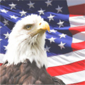 Amerikaanse vlag met Bald Eagle Sticker (Voorkant)