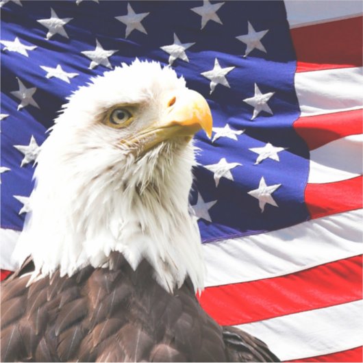 Amerikaanse vlag met Bald Eagle Sticker (Voorkant)