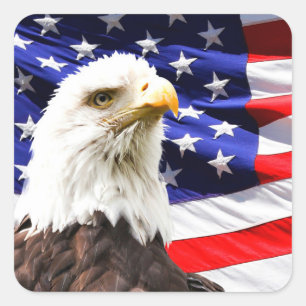 Amerikaanse vlag met Bald Eagle Vierkante Sticker