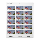 Amerikaanse vlag met Cloudy Sky USA Patriotic Etiket (Full Sheet)