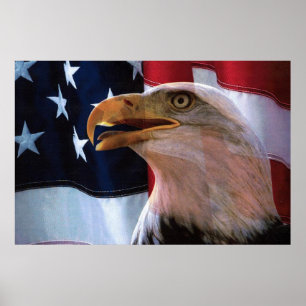 Amerikaanse vlag met een Bald Eagle Poster