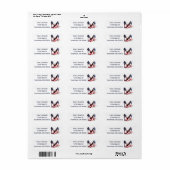 Amerikaanse Vlag Mode Pumps Etiket (Full Sheet)