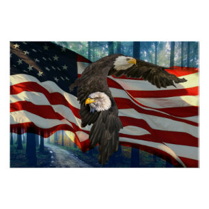 Amerikaanse vlag op Bald Eagle Perfect Poster