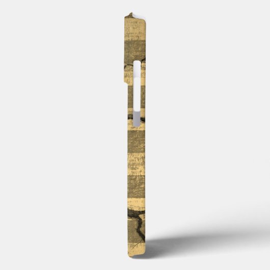 Amerikaanse vlag op de muur Case-Mate iPhone case (Achterkant / Links)