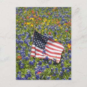 Amerikaanse vlag op het gebied van blauwe bont, briefkaart