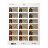 Amerikaanse vlag op historische gravemarkering / H Etiket (Full Sheet)