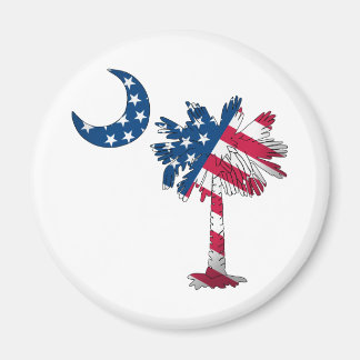 Amerikaanse vlag Palmetto Magneet