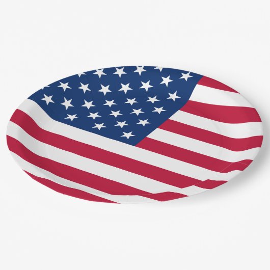 Amerikaanse vlag papieren bordje (Gekanteld)