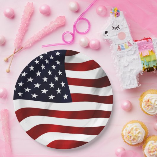 Amerikaanse vlag papieren bordje (Feest)