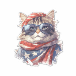 Amerikaanse vlag patriottische 4th Juli onafhankel Sticker