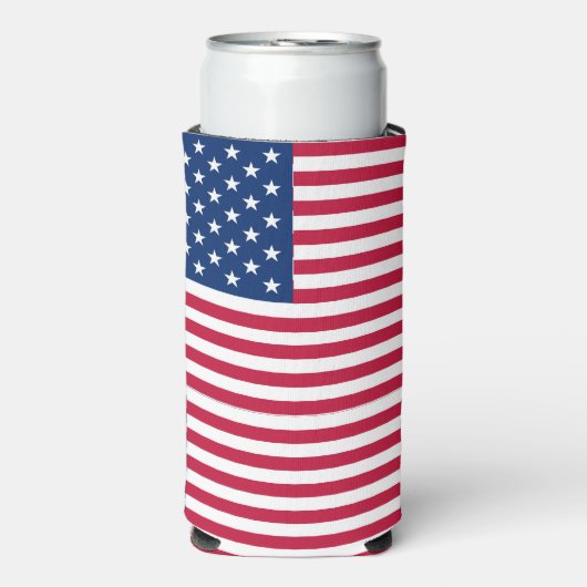 Amerikaanse vlag Pride Design-76353 Seltzer Blikjeskoeler (Seltzer Voorkant)