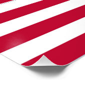 Amerikaanse Vlag Pride Design Perfect Poster (Hoek)