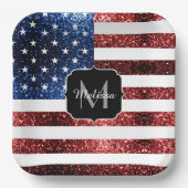 Amerikaanse vlag rode en blauwe muggenzifters papieren bordje (Voorkant)