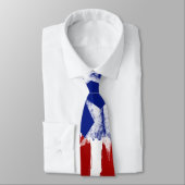Amerikaanse Vlag Rood Wit Blauwe Stropdas Sterren  (Gebonden)