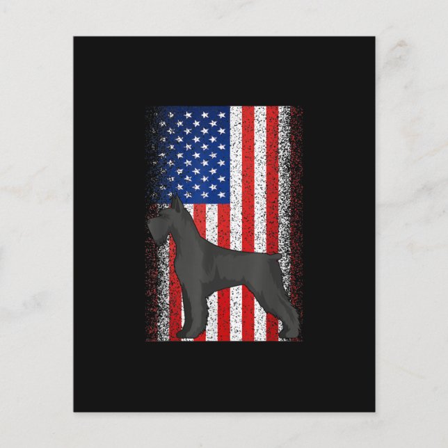 Amerikaanse vlag Schnau (Voorkant)