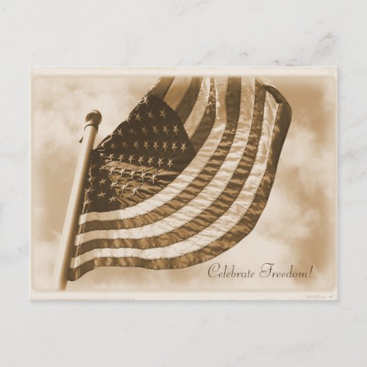 Amerikaanse vlag Sepia Patriotic Briefkaart (Voorkant)