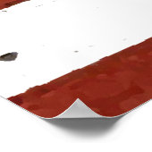 -Amerikaanse vlag Skull Poster