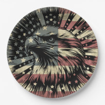 Amerikaanse Vlag Steenarend Patriottisch 