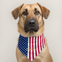 Amerikaanse Vlag Sterren Strepen Huisdier Puppy Na