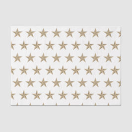 Amerikaanse vlag stijl zilveren ster witte achterg tissuepapier