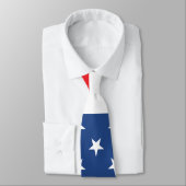 Amerikaanse vlag stropdas (Gebonden)