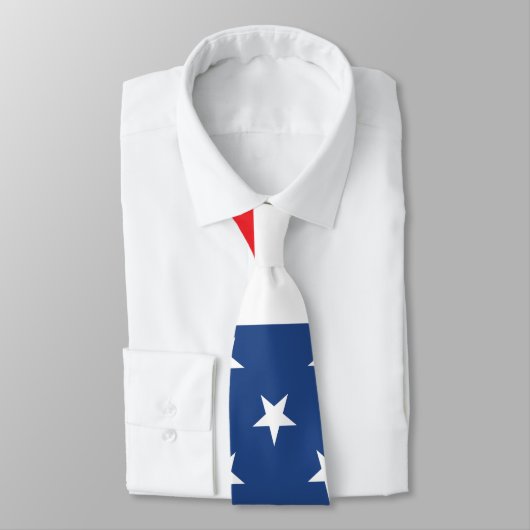 Amerikaanse vlag stropdas (Gebonden)