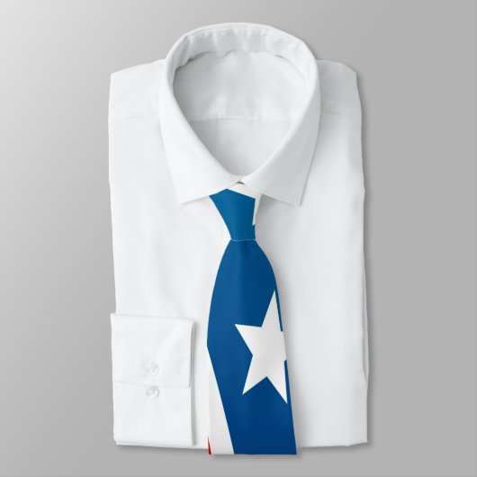 Amerikaanse vlag stropdas (Gebonden)