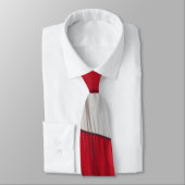 Amerikaanse vlag - Stropdas van 4 juli (Gebonden)