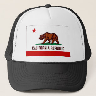 Amerikaanse vlag trucker pet