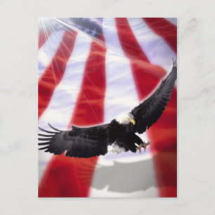 Amerikaanse vlag & uitnodiging voor adelaars