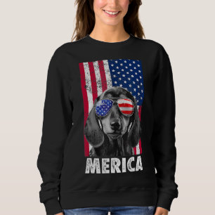 Amerikaanse vlag USA 4 juli Dachshund Doxie Ween Trui