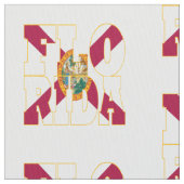 Amerikaanse vlag van Florida Stof (Close Up)