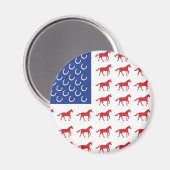 Amerikaanse vlag voor patriottische paarden magneet (Voorkant / Achterkant)