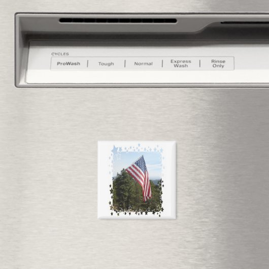 Amerikaanse vlag w/sterren magneet (Insitu (Vaatwasser))