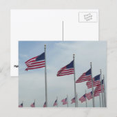 Amerikaanse vlaggen bij het Washington Monument Briefkaart (Voorkant / Achterkant)