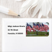 Amerikaanse vlaggen en kruisingen etiket (Insitu)