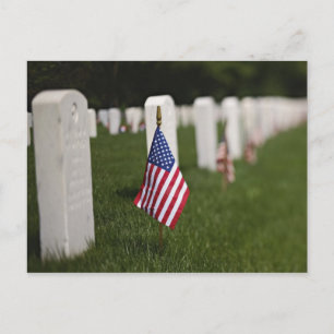 Amerikaanse vlaggen op graven van Amerikaanse vete Briefkaart