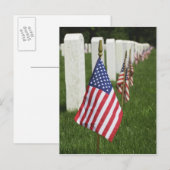 Amerikaanse vlaggen op graven van Amerikaanse vete Briefkaart (Voorkant / Achterkant)