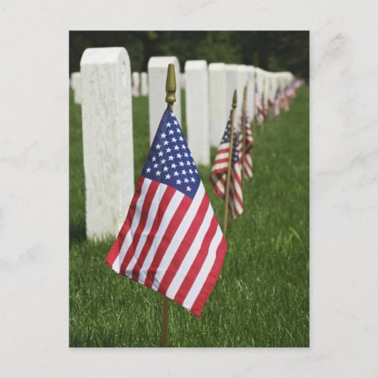 Amerikaanse vlaggen op graven van Amerikaanse vete Briefkaart (Voorkant)