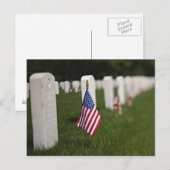 Amerikaanse vlaggen op tomaten van Amerikaanse vet Briefkaart (Voorkant / Achterkant)