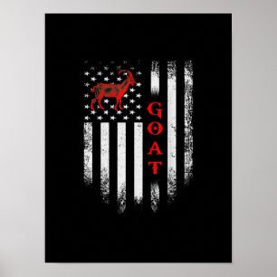 Amerikaanse vlaggengeit Poster