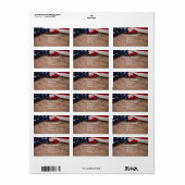  Amerikaanse vlaggengrens Etiket (Full Sheet)