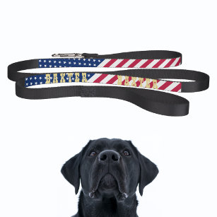 Amerikaanse vlaggestaren stripes dog puppy name hondenlijn